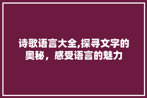 诗歌语言大全,探寻文字的奥秘，感受语言的魅力