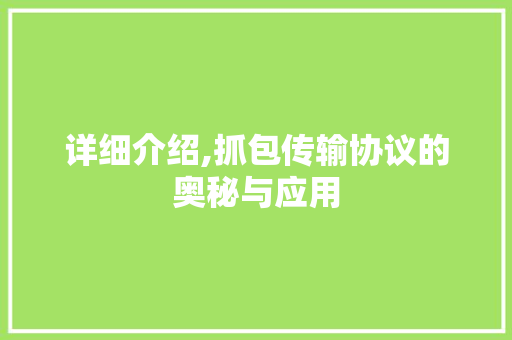 详细介绍,抓包传输协议的奥秘与应用