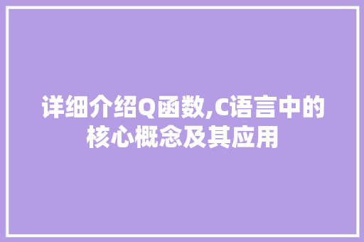 详细介绍Q函数,C语言中的核心概念及其应用