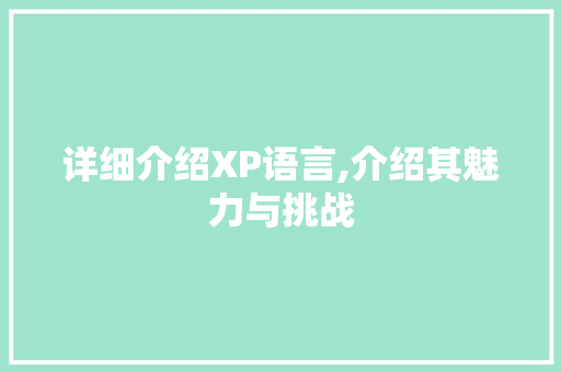 详细介绍XP语言,介绍其魅力与挑战