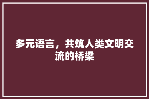 多元语言，共筑人类文明交流的桥梁