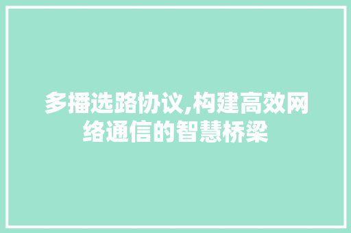 多播选路协议,构建高效网络通信的智慧桥梁