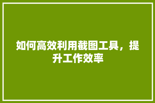 如何高效利用截图工具，提升工作效率 AI技术学习