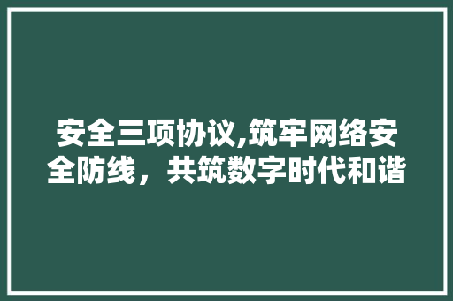 安全三项协议,筑牢网络安全防线，共筑数字时代和谐家园