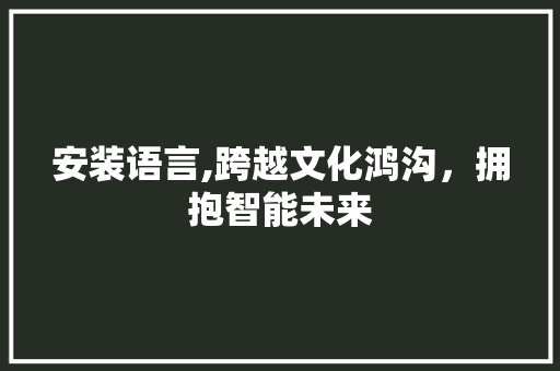 安装语言,跨越文化鸿沟，拥抱智能未来