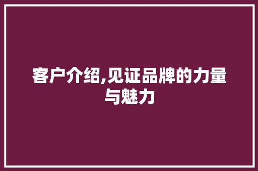 客户介绍,见证品牌的力量与魅力