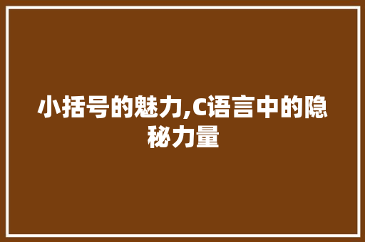 小括号的魅力,C语言中的隐秘力量