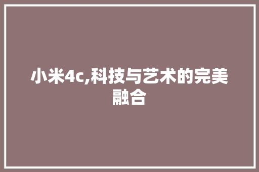 小米4c,科技与艺术的完美融合