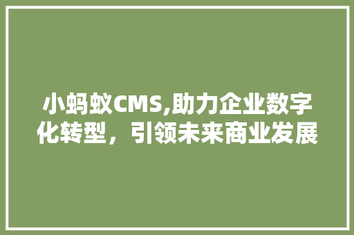 小蚂蚁CMS,助力企业数字化转型，引领未来商业发展新趋势