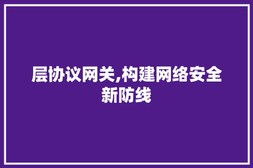 层协议网关,构建网络安全新防线