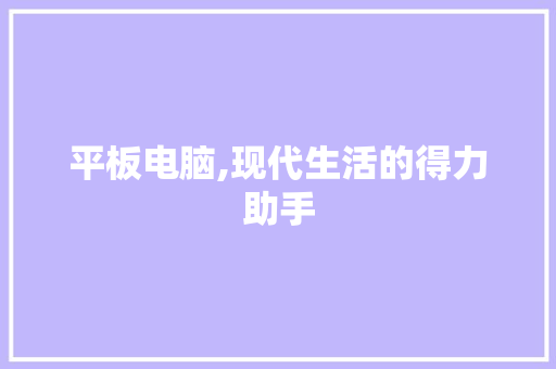 平板电脑,现代生活的得力助手