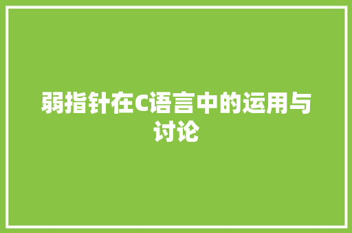 弱指针在C语言中的运用与讨论