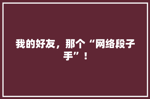 我的好友，那个“网络段子手”！