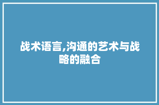 战术语言,沟通的艺术与战略的融合 网站优化