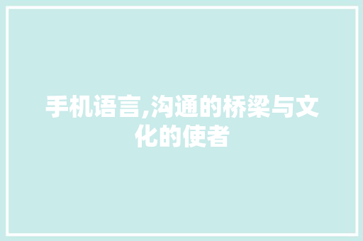 手机语言,沟通的桥梁与文化的使者