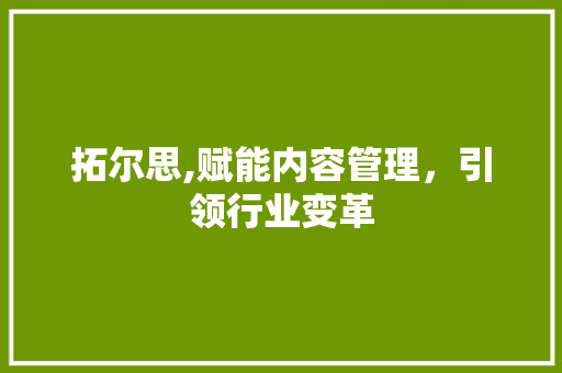 拓尔思,赋能内容管理，引领行业变革