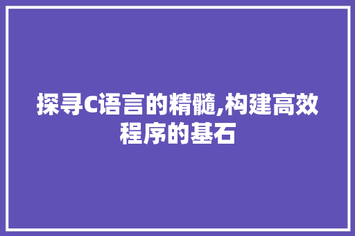 探寻C语言的精髓,构建高效程序的基石
