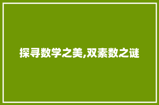 探寻数学之美,双素数之谜 seo技术