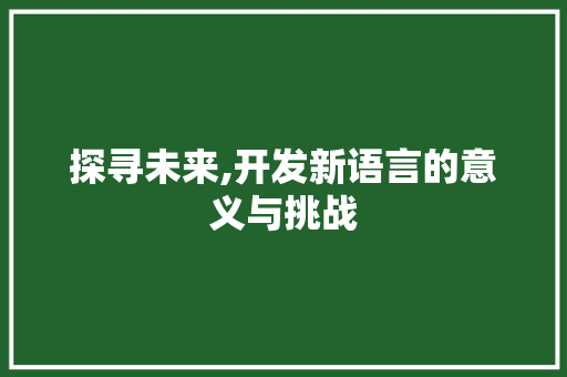 探寻未来,开发新语言的意义与挑战 英文谷歌算法