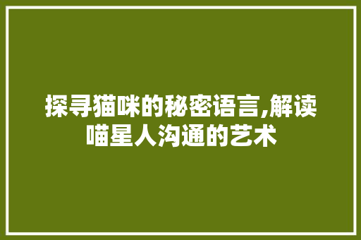 探寻猫咪的秘密语言,解读喵星人沟通的艺术