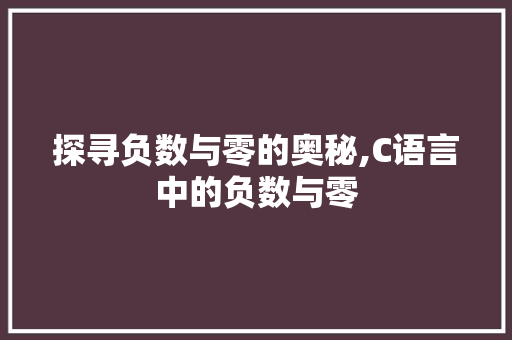 探寻负数与零的奥秘,C语言中的负数与零 英文谷歌算法