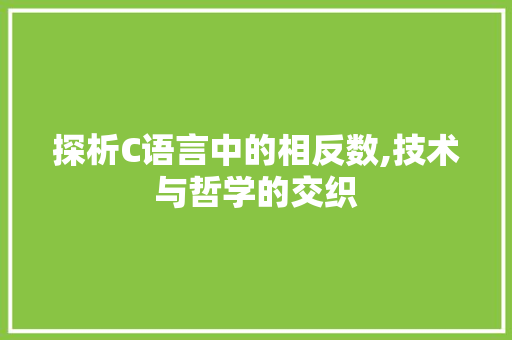探析C语言中的相反数,技术与哲学的交织 seo技术