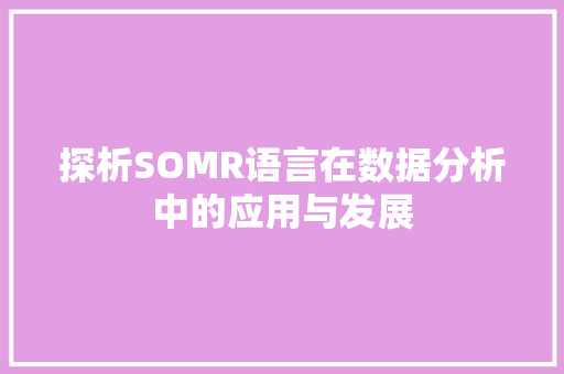 探析SOMR语言在数据分析中的应用与发展 百度算法