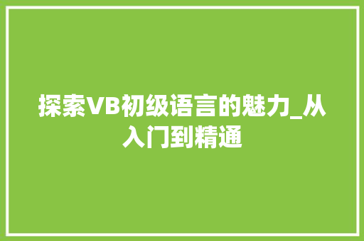 探索VB初级语言的魅力_从入门到精通 网站优化