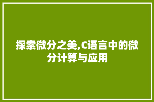 探索微分之美,C语言中的微分计算与应用