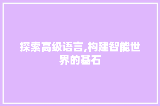 探索高级语言,构建智能世界的基石 百度算法