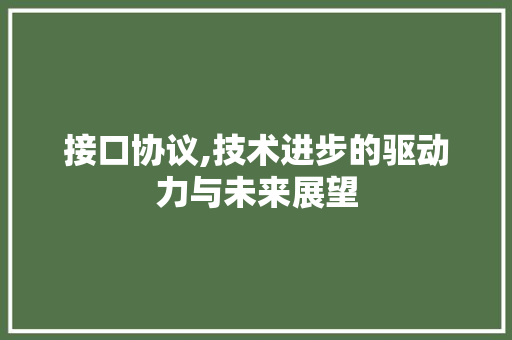 接口协议,技术进步的驱动力与未来展望 网站优化