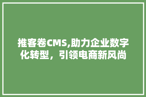 推客卷CMS,助力企业数字化转型，引领电商新风尚