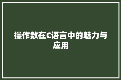 操作数在C语言中的魅力与应用