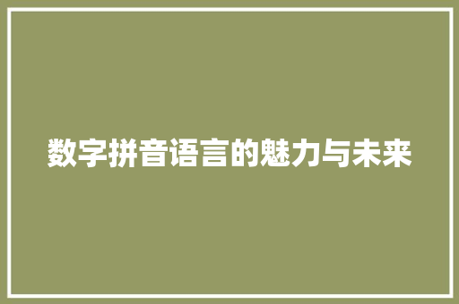 数字拼音语言的魅力与未来
