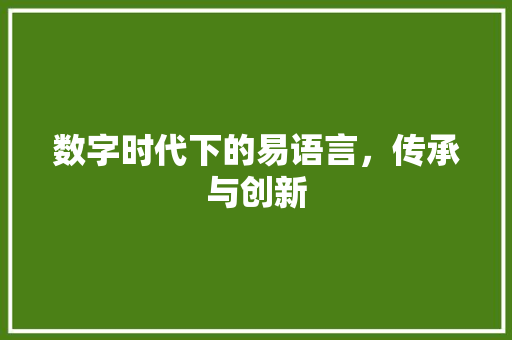 数字时代下的易语言，传承与创新
