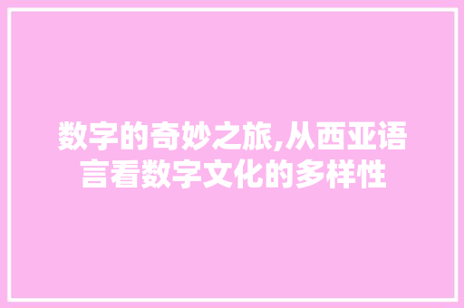 数字的奇妙之旅,从西亚语言看数字文化的多样性