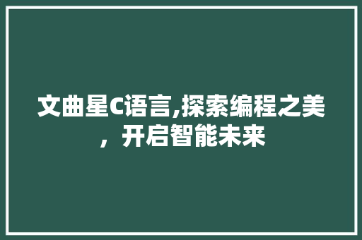 文曲星C语言,探索编程之美，开启智能未来