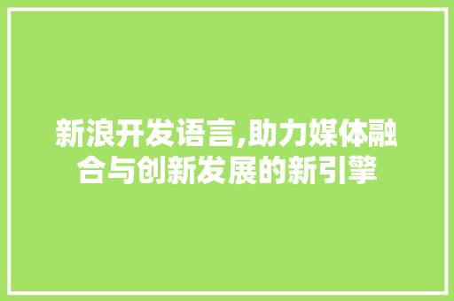 新浪开发语言,助力媒体融合与创新发展的新引擎