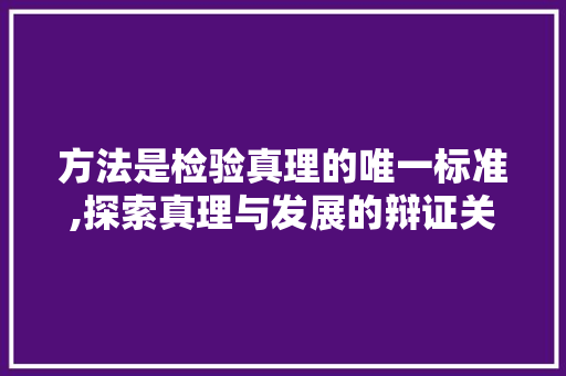 方法是检验真理的唯一标准,探索真理与发展的辩证关系