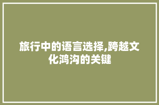 旅行中的语言选择,跨越文化鸿沟的关键
