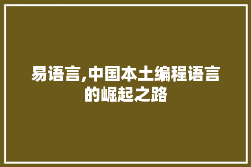 易语言,中国本土编程语言的崛起之路