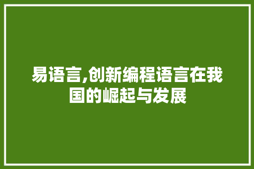易语言,创新编程语言在我国的崛起与发展
