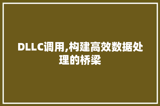 DLLC调用,构建高效数据处理的桥梁