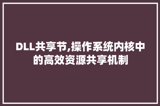 DLL共享节,操作系统内核中的高效资源共享机制