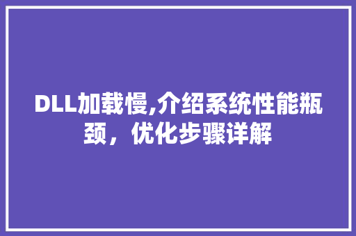 DLL加载慢,介绍系统性能瓶颈，优化步骤详解