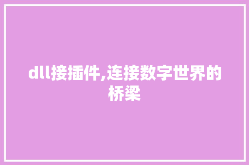 dll接插件,连接数字世界的桥梁