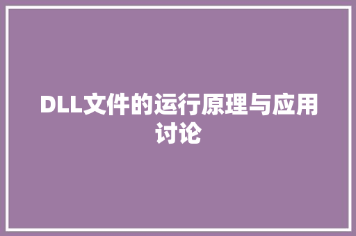 DLL文件的运行原理与应用讨论