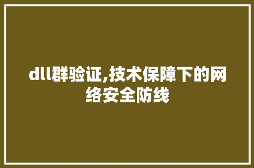 dll群验证,技术保障下的网络安全防线