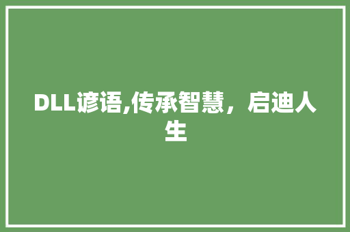 DLL谚语,传承智慧，启迪人生