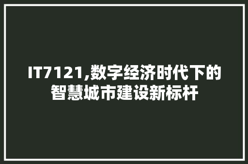 IT7121,数字经济时代下的智慧城市建设新标杆 网站优化